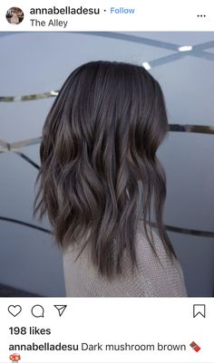 Mushroom Brown, Colored Hair Tips, Hair Color Options, Hair Color For Women, Short Hair Color, Brown Blonde Hair