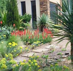 a garden with flowers and plants in front of a house