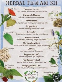 Diy Remedies, Herbs For Health, Aid Kit, First Aid Kit