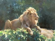 a painting of a lion laying in the grass