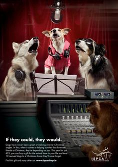 three dogs wearing headphones are sitting in front of a sound board and microphones