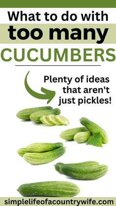 what to do with lots of cucumbers What To Do With Pickling Cucumbers, Uses For Cucumbers Recipes For, What To Do With Cucumbers Besides Pickles, Garden Cucumbers Recipes, Yummy Cucumber Recipes, Cooking Cucumber Recipes, What To Do With Fresh Cucumbers, How To Save Cucumbers, Cucumber Freezer Recipes