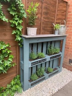 an outdoor shelf with plants growing on it