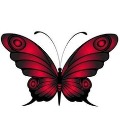 a red butterfly on a white background