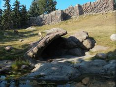 an animal that is standing in the grass by some rocks and water with trees behind it