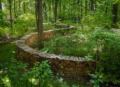 a stone wall in the woods surrounded by trees