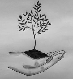 a drawing of a hand holding a small tree