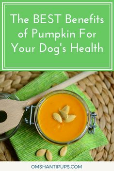 the best benefits of pumpkin for your dog's health and how to use it