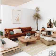 a living room filled with furniture and plants