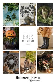 a collage of photos with pumpkins, plants and other things in them for halloween