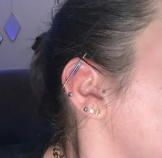 a person with ear piercings on their ears