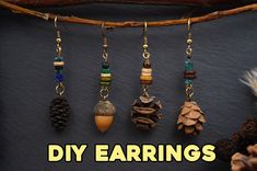 five different types of earrings hanging from a tree branch with the words diy earrings written above them