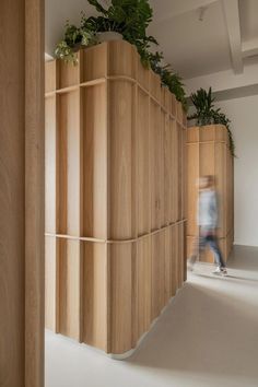 a person riding a skateboard in front of a wooden wall with plants on it