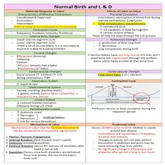 Normal birth labor and delivery study notes 4 pages Normal Birth, Lab Values, Labor Nurse, Medical Careers, Nurse Study Notes, Labor Delivery, Birth Labor, Medical School Studying, Nursing Study