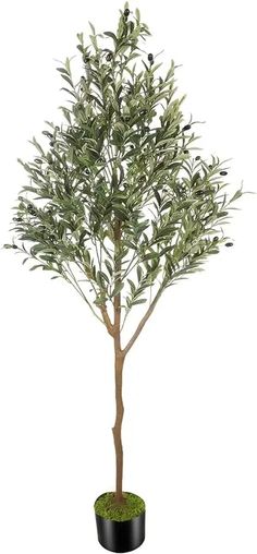 42019730784298 Plant For Office, Artificial Olive Tree, Office House, House Farmhouse, Silk Tree, Rubber Tree, Office Plants, Artificial Tree, Olive Leaf