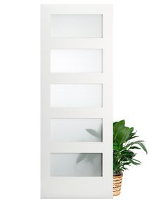 a potted plant sitting in front of a white door with glass panels on it