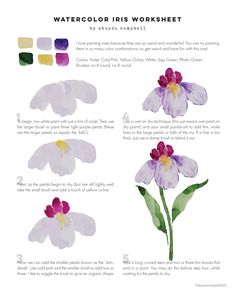 watercolor irises work sheet with instructions for how to paint them in different colors