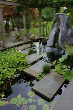 an outdoor pond with stepping stones and water lilies