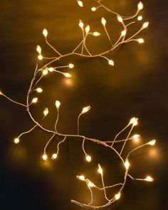 a branch with white lights on it against a dark background