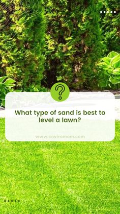 a lawn with the words what type of sand is best to level a lawn?