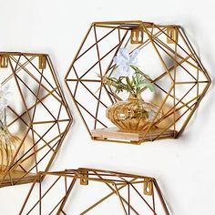 three gold geometric wall shelves with flowers in them