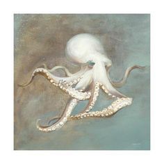 an octopus painting with pearls on it's tail