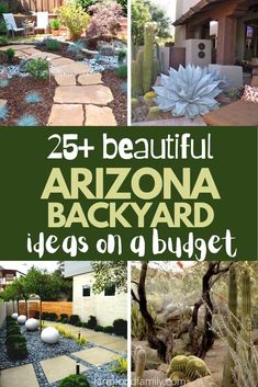 arizona backyard landscaping ideas on a budget