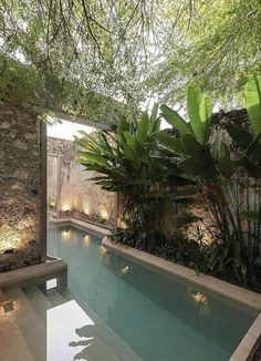 an outdoor swimming pool surrounded by greenery and stone walls with lights on the side