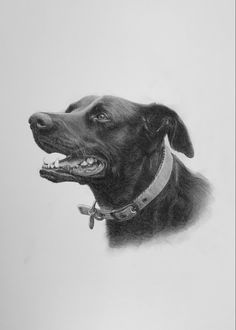 a drawing of a dog with its mouth open