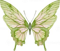 a watercolor painting of a green and pink butterfly