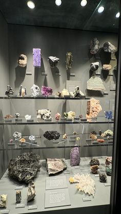 there are many rocks on display in the glass case