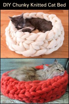 two cats sleeping in a cat bed made out of yarn