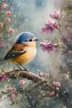 a bird sitting on top of a tree branch with pink flowers in the rain behind it