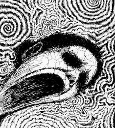 a black and white drawing of a bird's head with swirls in the background