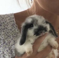 a woman holding a small rabbit in her hands