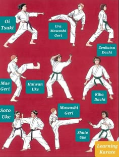 an image of karate moves for beginners