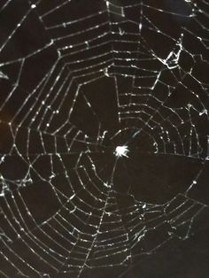 a spider web is shown in the dark