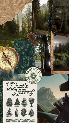 a collage of pictures with trees, mountains and other things to see in the background