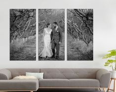 a black and white photo of a bride and groom standing in an orchard with trees behind them