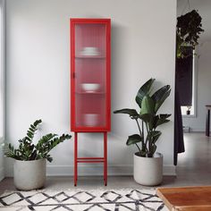 a tall red cabinet sitting next to two potted plants on top of a rug