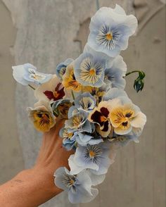 a person's hand holding a bouquet of blue and yellow flowers