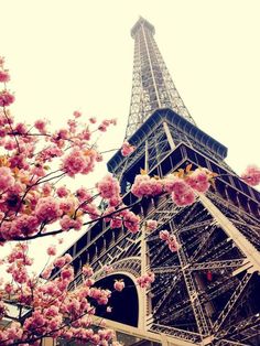 the eiffel tower is surrounded by pink flowers