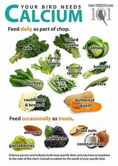 a poster showing the different types of foods that are high in vitamins and calories