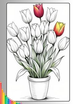 a drawing of flowers in a pot with colored pencils on the bottom and an image of tulips