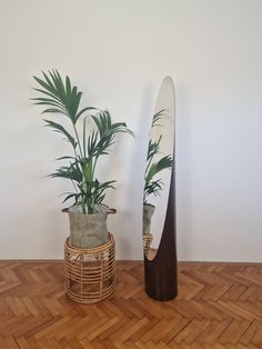 two potted plants next to a mirror on the floor