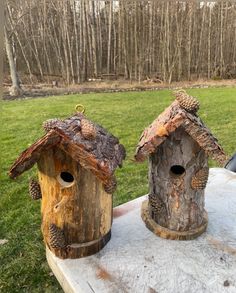 two bird houses made out of tree stumps