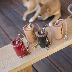 a dog laying on a wooden bench next to several purses