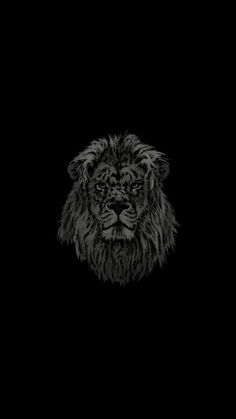 a black and white photo of a lion's face on a dark background,