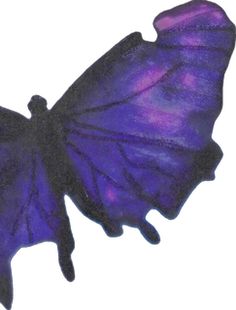 a purple and black butterfly flying in the air