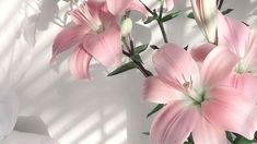 some pink flowers are in a vase on a white tablecloth with shadow from the wall behind them